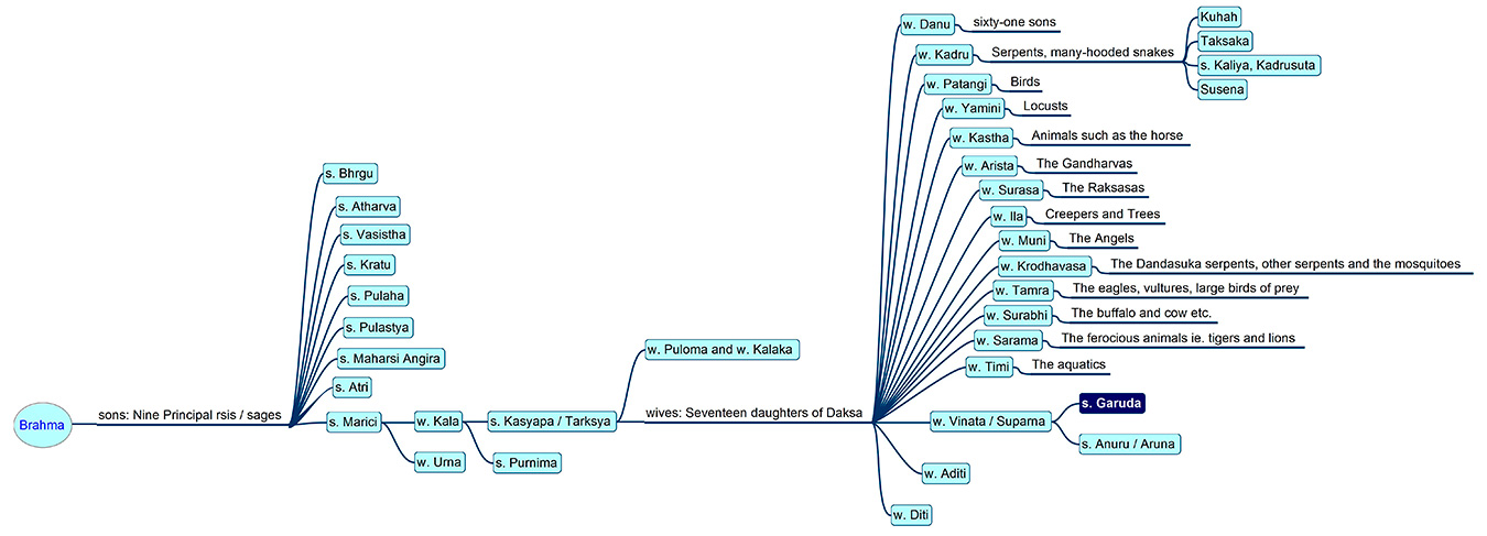 Family tree of Garuḍa