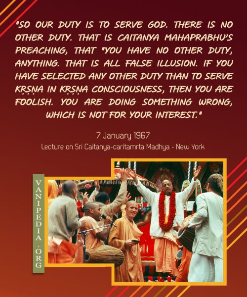 File:010767 Image-quote.jpg